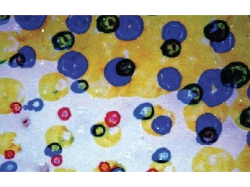 Flexo-Printing-Defects-of-Doughnuts การพิมพ์เฟล็กโซข้อบกพร่องของโดนัท