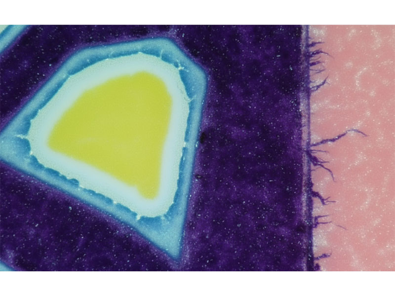 Excessive-Dot-Gain-of-Halo-Effect เอฟเฟกต์ Dot-Gain-of-Halo-Effect มากเกินไป